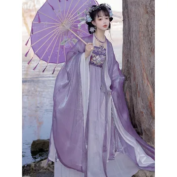 Kinijos tradicinės Hanfu Cheko sijonas senovės vėjo pasakos Hanfu moterų Han elementai dvigubo sluoksnio šilko rankovės pavasario ir vasaros kostiumas