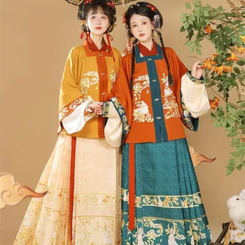Originalus Hanfu Suknelė Moterims Kinų Stiliaus Aikštėje Apykaklės Striukė Triušių Rudens Žiemos Šimtai Plisuotos Ming Dinastijos Arklių Veido Suknelė