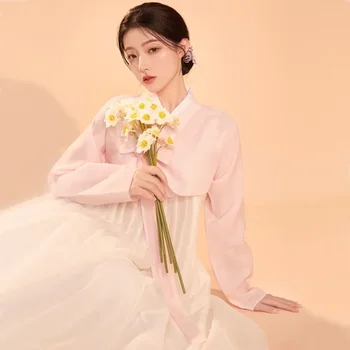 Tradicinis Rožinė Tradicinis korėjiečių Hanbok Moterims, rafinuotas ir Elegantiškas Modernus Sijonas Šalies Etape Nuotrauka Šokių Suknelė Kostiumas